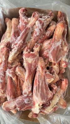 ماهیچه گوسفندی